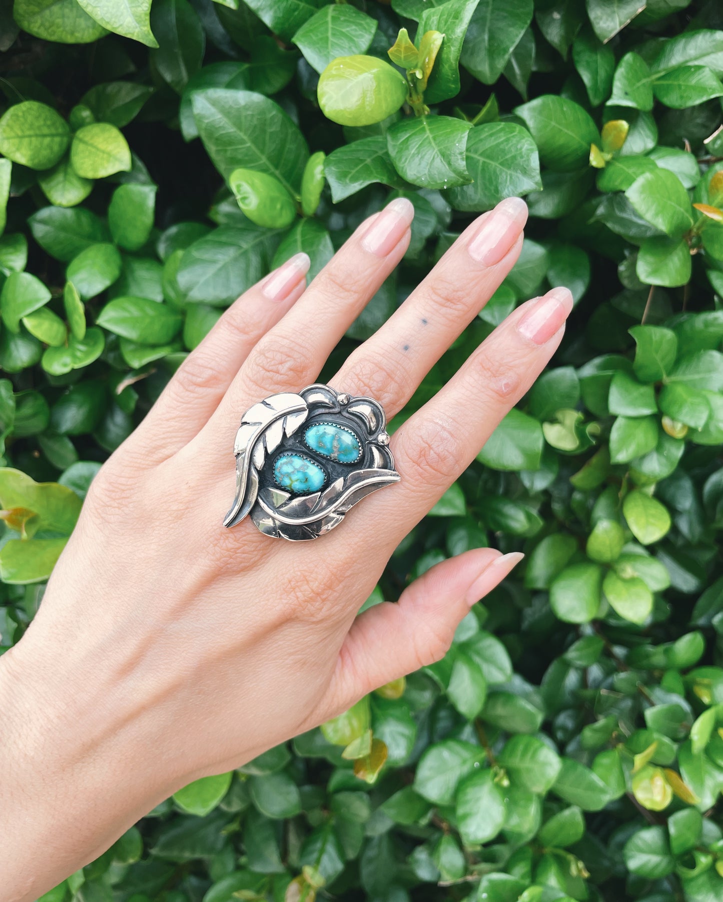 Double Sonoran Turquoise ring size 8